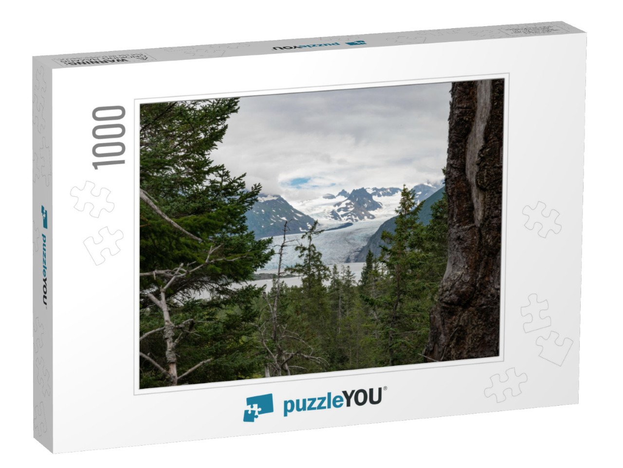 Hiking in Kenai Fjords National Park in Alaska... Jigsaw Puzzle with 1000 pieces