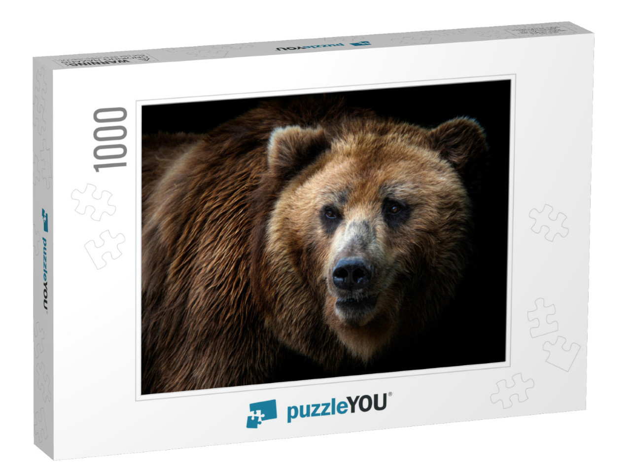 Front View of Brown Bear Isolated on Black Background. Po... Jigsaw Puzzle with 1000 pieces