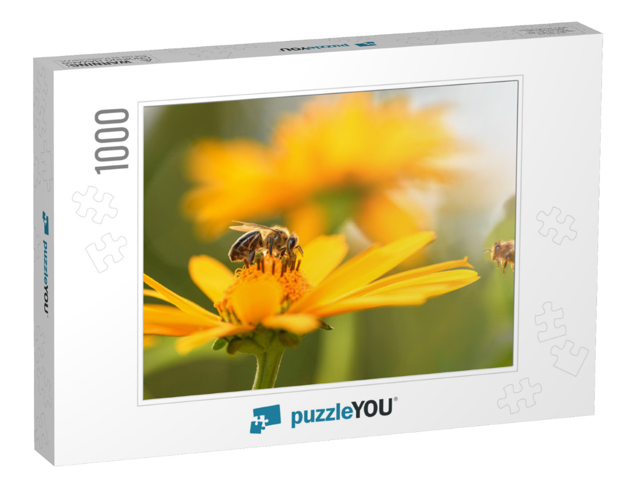 Bee & Flower. Close Up of a Large Striped Bee Collects Ho... Jigsaw Puzzle with 1000 pieces