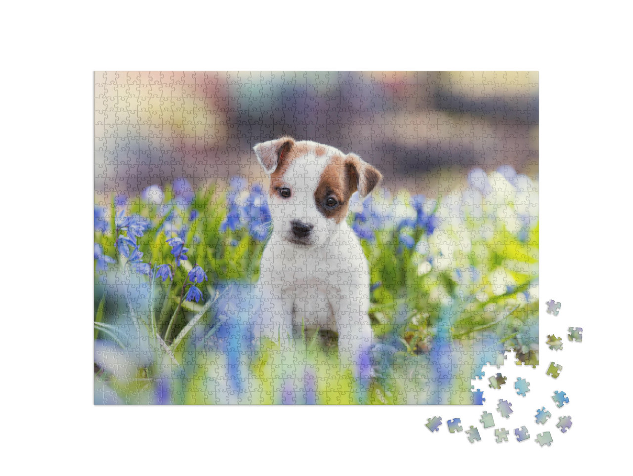 White Jack Russell Terrier Puppy Sitting Among Blue Flowe... Jigsaw Puzzle with 1000 pieces