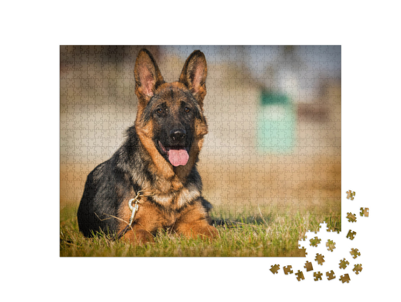 German Shepherd Puppy Age 5 Months in the Grass... Jigsaw Puzzle with 1000 pieces