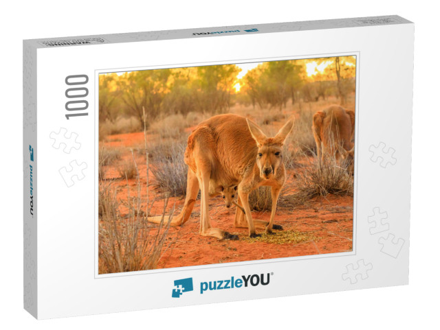 Red Female Kangaroo with a Joey in a Pocket, Macropus Ruf... Jigsaw Puzzle with 1000 pieces