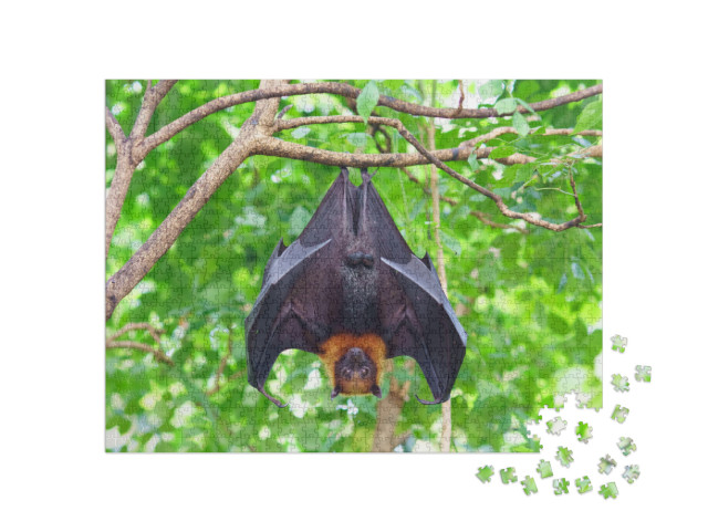 Fruit Bat Hanging on Tree in Forest. Lyles Flying Fox... Jigsaw Puzzle with 1000 pieces