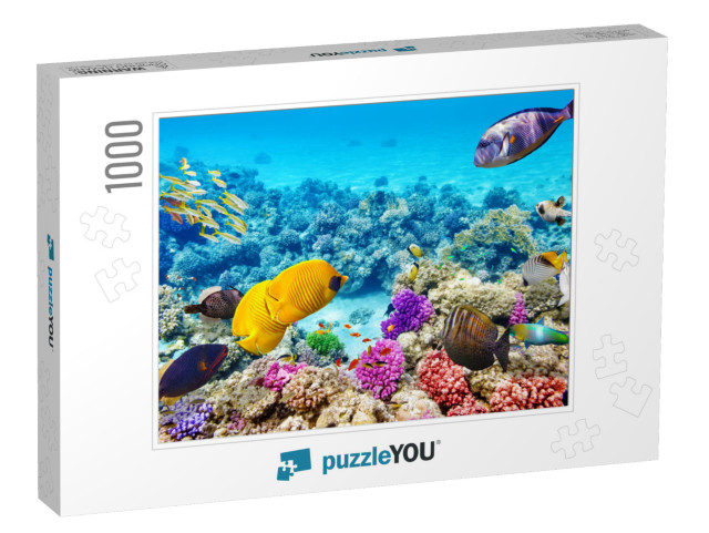 Wonderful & Beautiful Underwater World with Corals & Trop... Jigsaw Puzzle with 1000 pieces