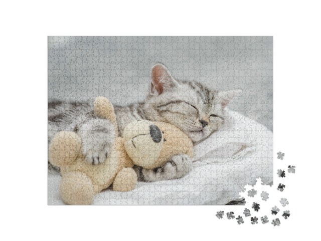 Cute Kitten Sleeping with Toy Bear... Jigsaw Puzzle with 1000 pieces