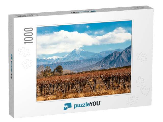 Volcano Aconcagua & Vineyard. Aconcagua is the Highest Mo... Jigsaw Puzzle with 1000 pieces