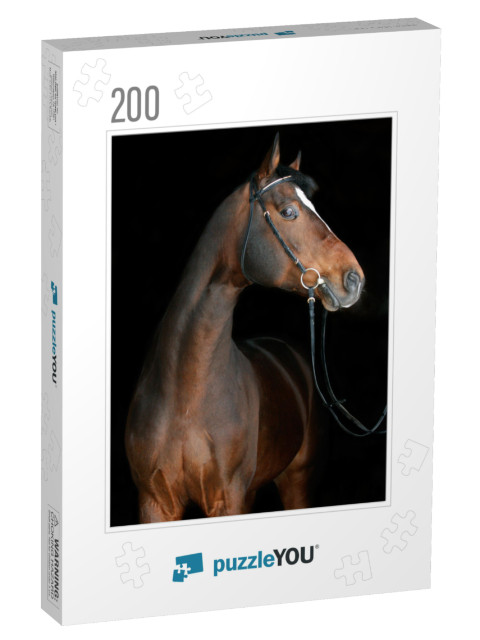 Bay Horse on Black... Jigsaw Puzzle with 200 pieces