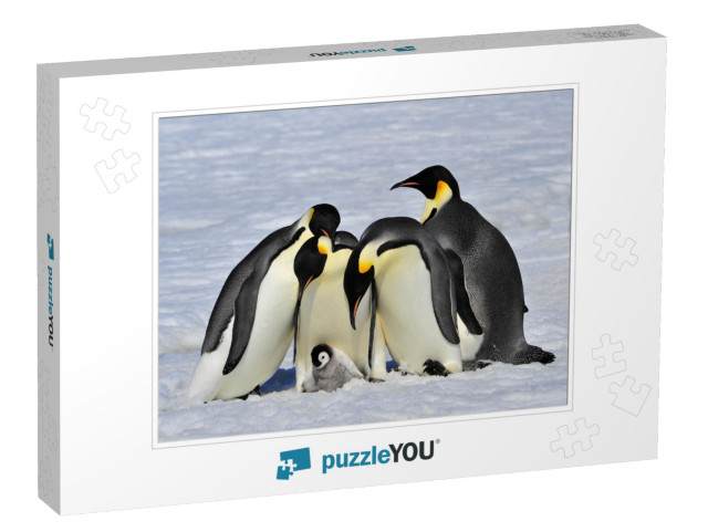 Emperor Penguins with Chick... Jigsaw Puzzle