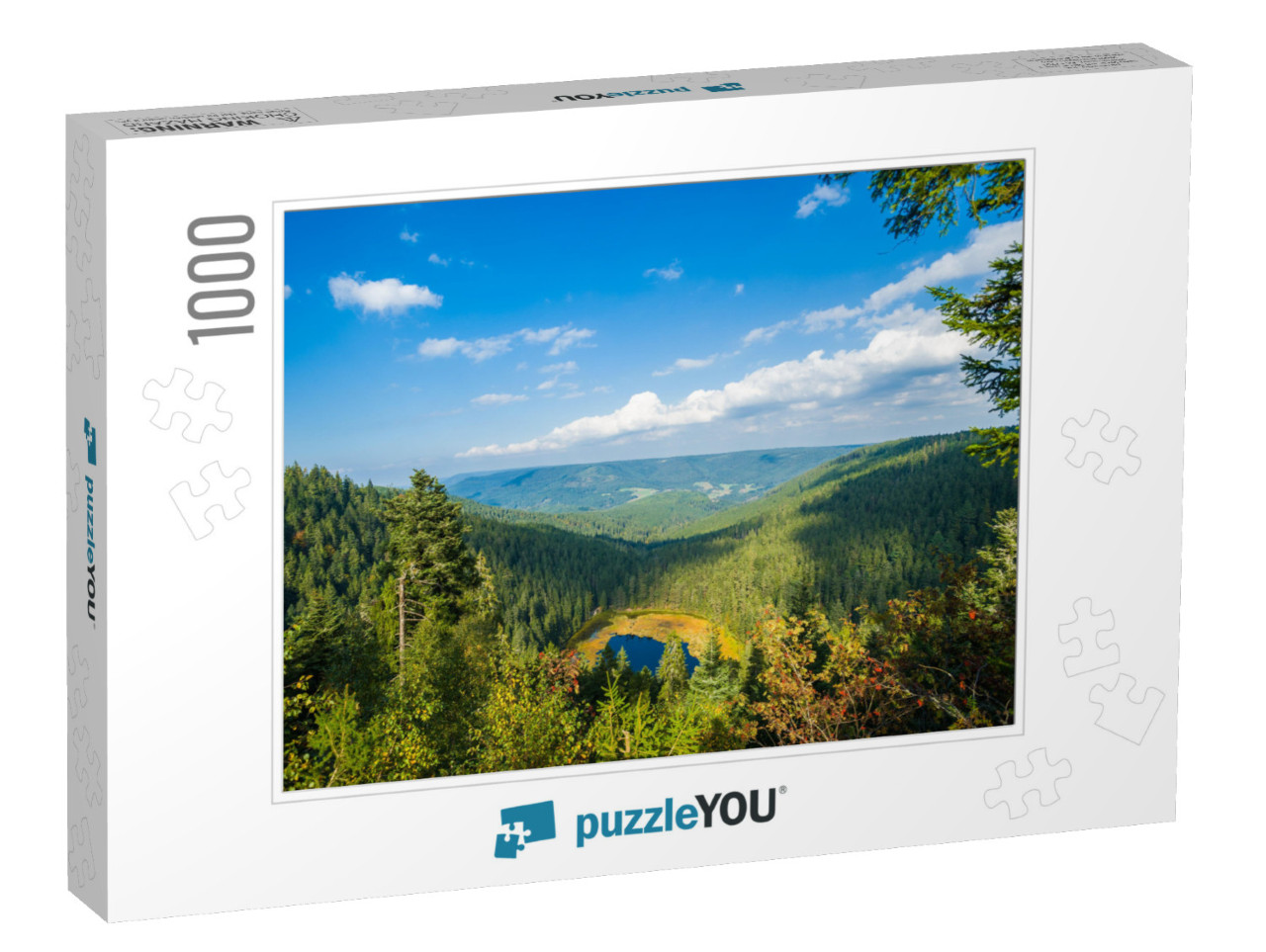 The Huzenbacher Lake Near Baiersbronn, Black Forest, Bade... Jigsaw Puzzle with 1000 pieces