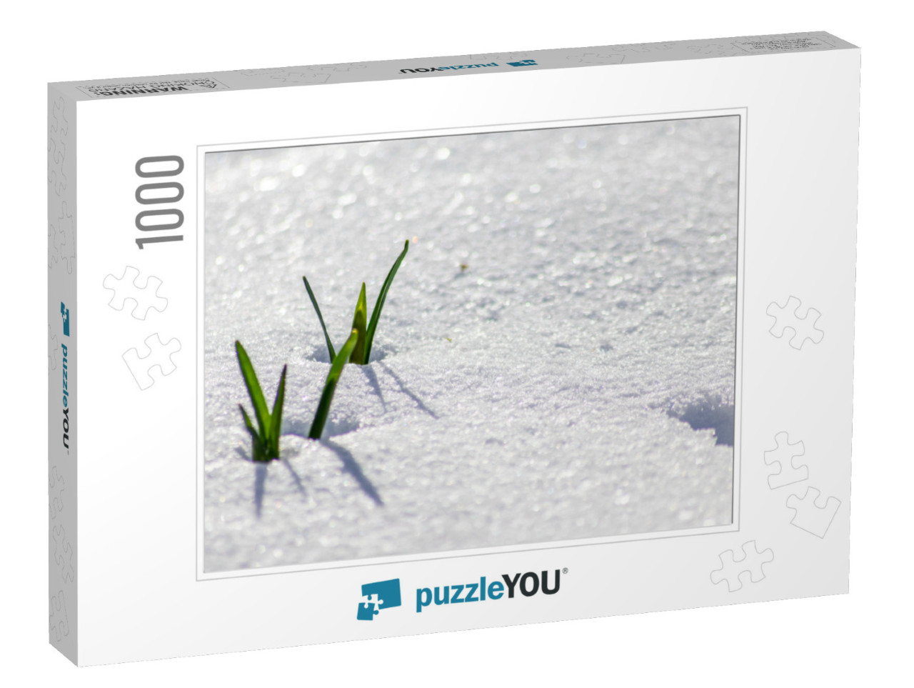 The Winter Ends & the Springtime Shows Fresh Green & Snow... Jigsaw Puzzle with 1000 pieces