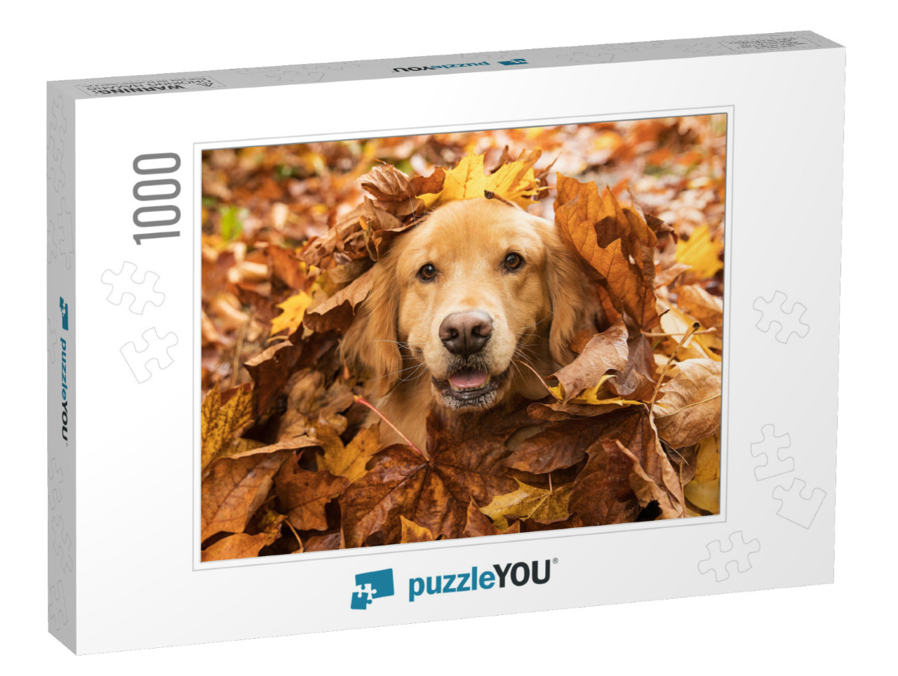 Golden Retriever Dog in a Pile of Fall Leaves... Jigsaw Puzzle with 1000 pieces