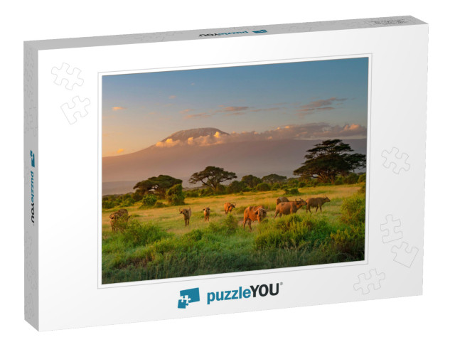 Mount Kilimanjaro in Morning Light, Amboseli, Kenya... Jigsaw Puzzle