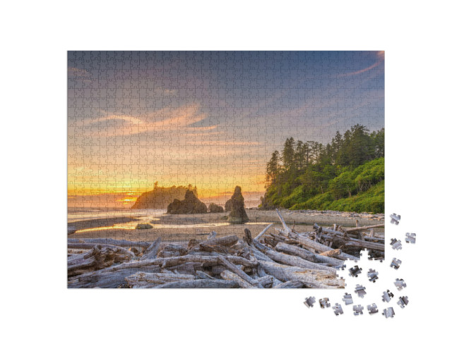 Olympic National Park, Washington, USA At Ruby Beach with... Jigsaw Puzzle with 1000 pieces