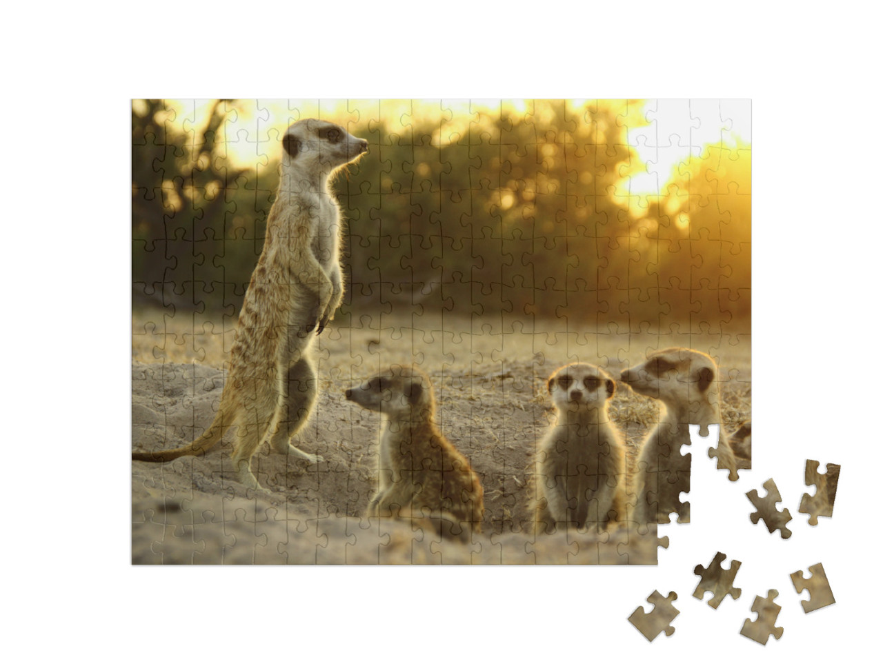 Meerkat the Most Funny Animal. Namibia Wild Life... Jigsaw Puzzle with 200 pieces