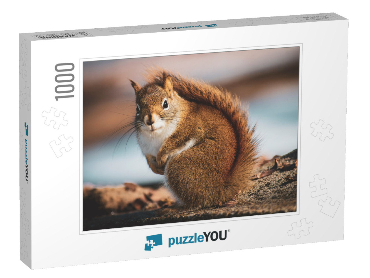 Beautiful Little Squirrel in the Forest... Jigsaw Puzzle with 1000 pieces