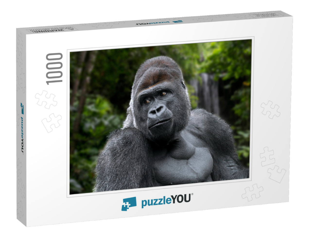 Gorilla Looks over Shoulder Jigsaw Puzzle with 1000 pieces