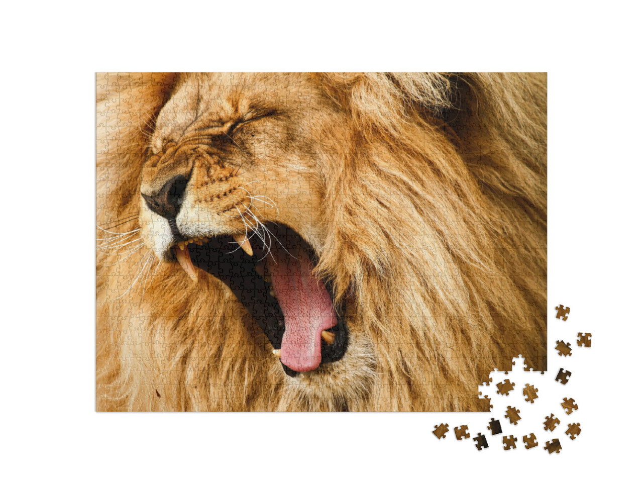 Roaring/Yawing Lion... Jigsaw Puzzle with 1000 pieces