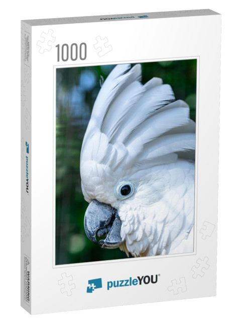 The White Cockatoo Cacatua Alba, Also Known as the Umbrel... Jigsaw Puzzle with 1000 pieces