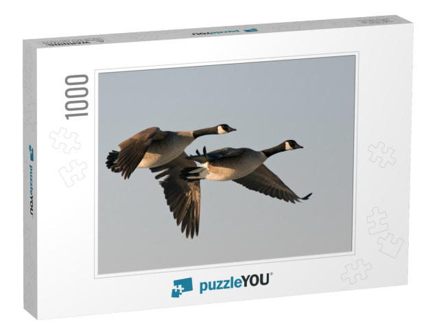 Pair of Flying Geese... Jigsaw Puzzle with 1000 pieces