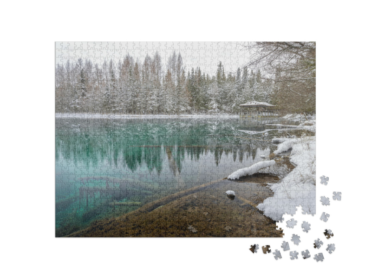 Kitch-Iti-Kipi, Big Spring. Fresh Snow in the Forest Alon... Jigsaw Puzzle with 1000 pieces