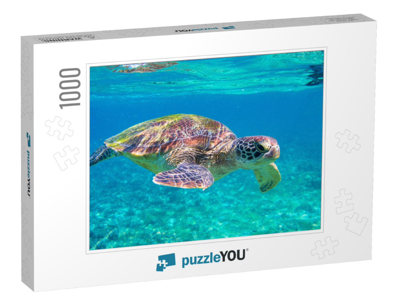 Cute Sea Turtle in Blue Water of Tropical Sea. Green Turt... Jigsaw Puzzle with 1000 pieces