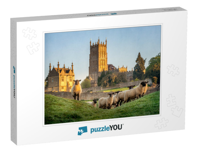 Cotswold Sheep Near Chipping Campden in Gloucestershire w... Jigsaw Puzzle