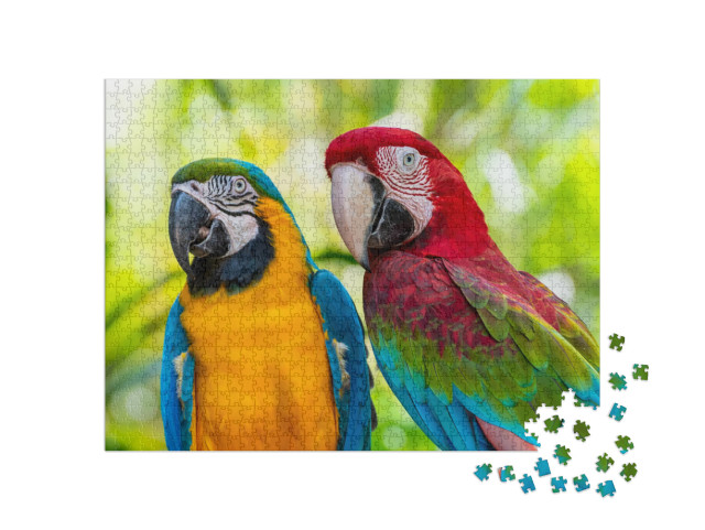 Blue & Gold Macaw or Ara Ararauna & Green Winged Macaw or... Jigsaw Puzzle with 1000 pieces