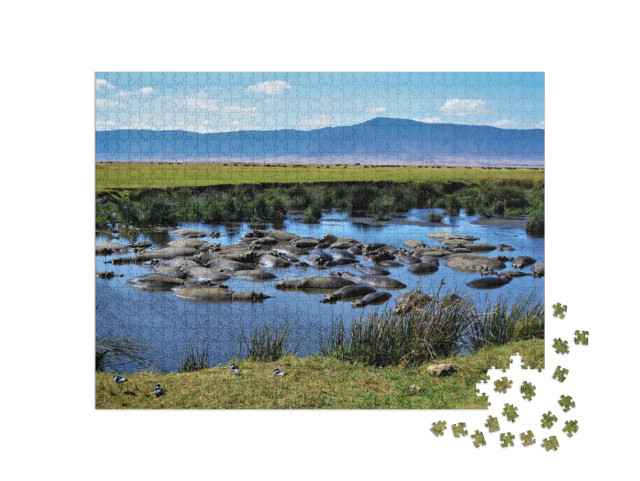 Hippo Pool, Ngorongoro Crater, Tanzania... Jigsaw Puzzle with 1000 pieces