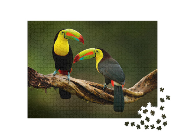 Toucan Sitting on the Branch in the Forest, Green Vegetat... Jigsaw Puzzle with 1000 pieces