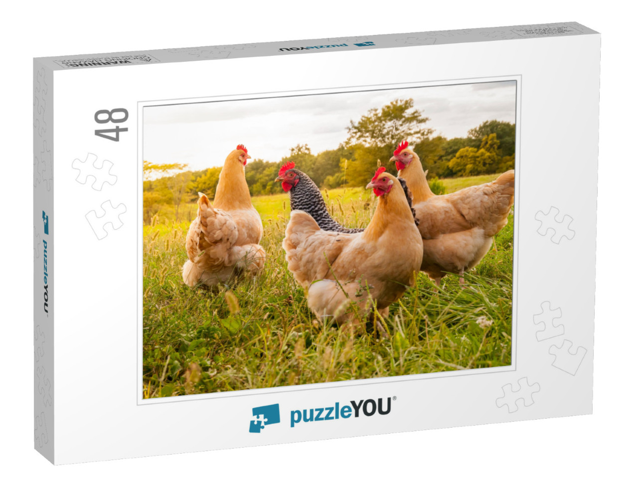 A Chicken Sunset... Jigsaw Puzzle with 48 pieces