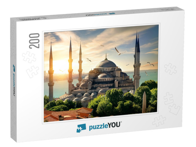 Seagulls Over Blue Mosque & Bosphorus in Istanbul, Turkey... Jigsaw Puzzle with 200 pieces