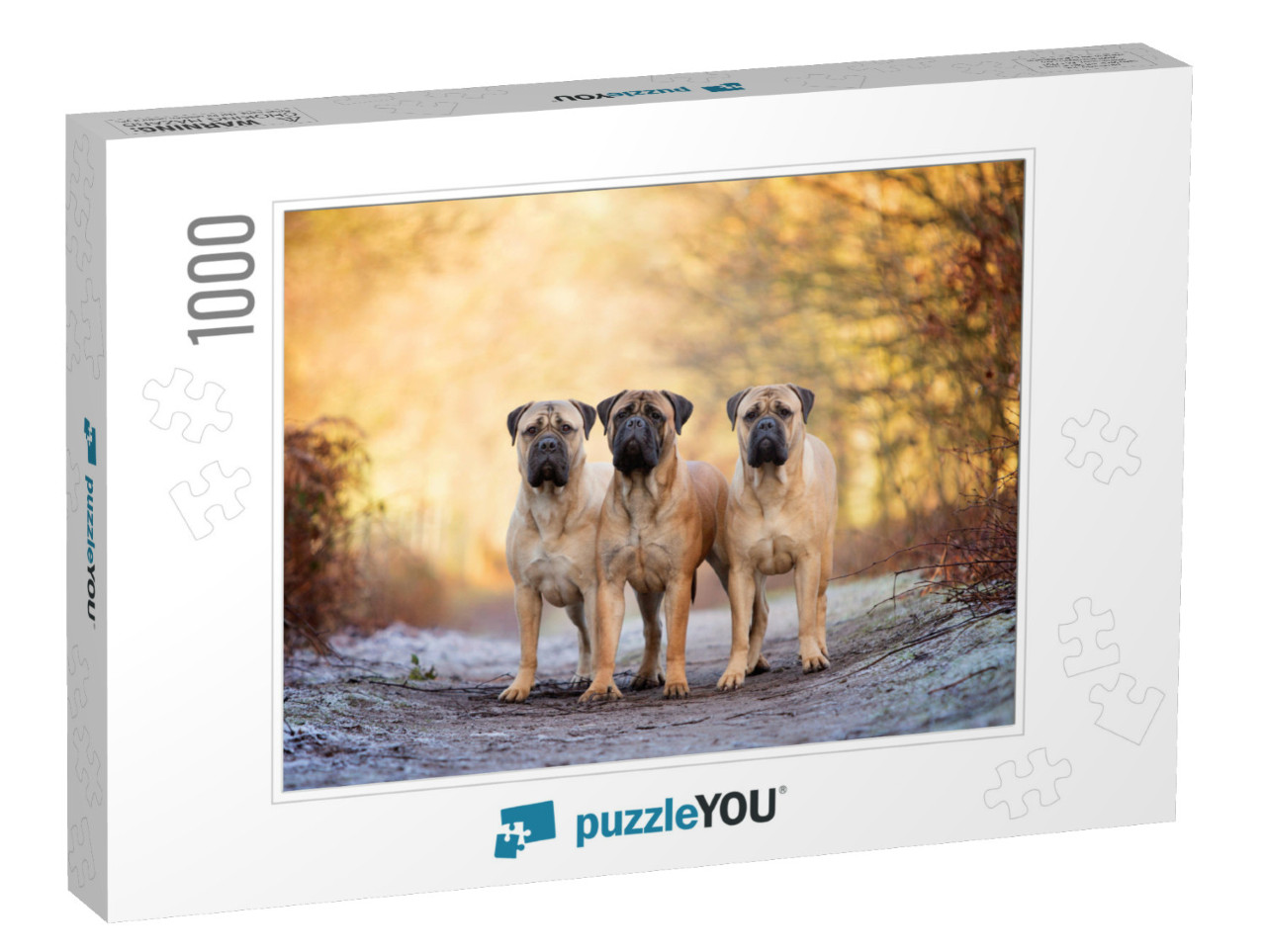 Three Bull Mastiffs on a Frosty Morning... Jigsaw Puzzle with 1000 pieces