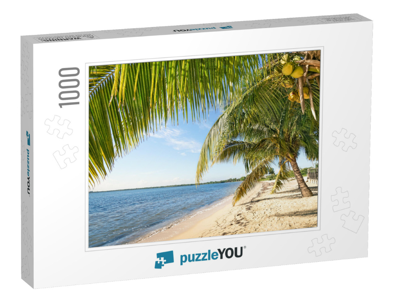 Beach Palm & Turquoise Sea At Playa Larga Near Bay of Pig... Jigsaw Puzzle with 1000 pieces