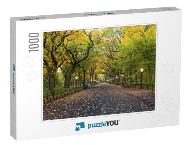 Central Park. Image of the Mall Area in Central Park, New... Jigsaw Puzzle with 1000 pieces