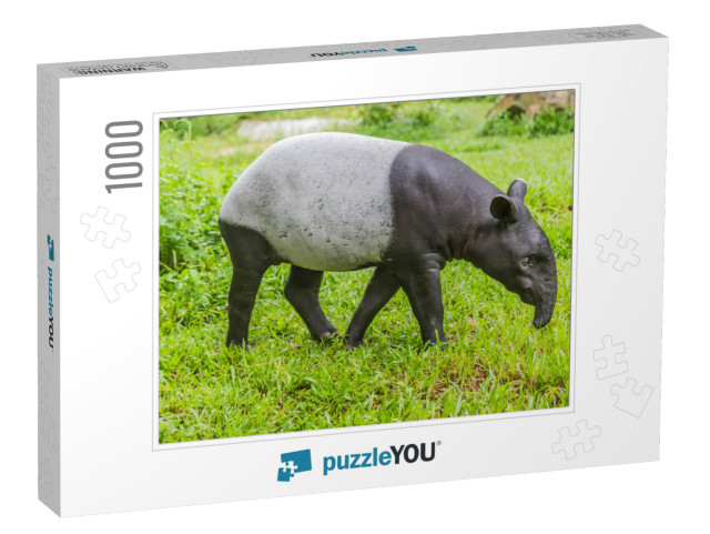 Tapir is a Mammal that Feeds on Large Plants. Tapiridae i... Jigsaw Puzzle with 1000 pieces