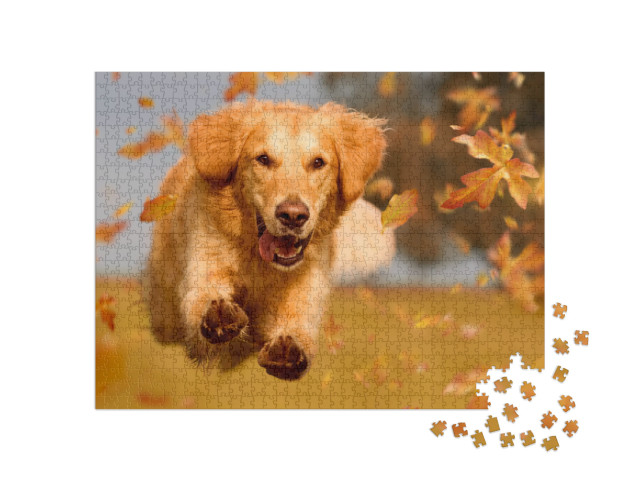 Dog, Golden Retriever Jumping Through Autumn Leaves in Au... Jigsaw Puzzle with 1000 pieces