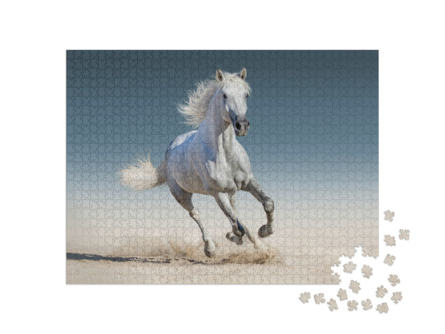 White Horse Run Gallop... Jigsaw Puzzle with 1000 pieces