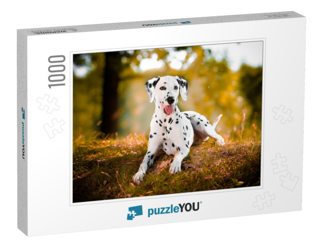 Dalmatian in Grass Black & White Dog... Jigsaw Puzzle with 1000 pieces