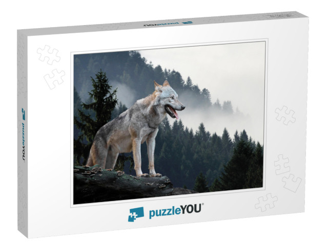 Timber Wolf Hunting in Mountain... Jigsaw Puzzle