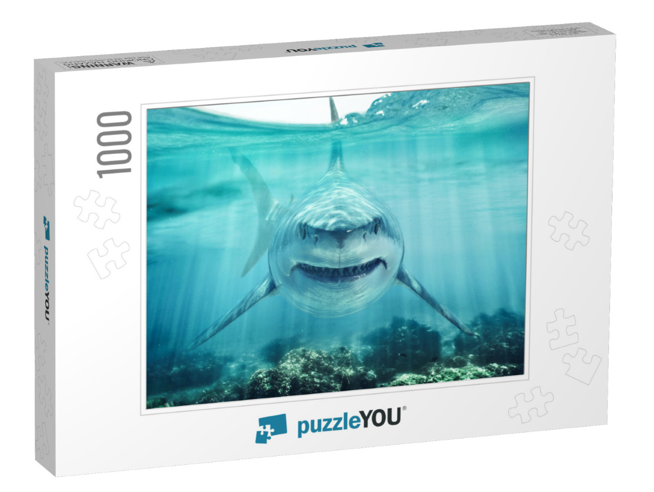 A Predator Great White Shark Swimming in the Ocean Coral... Jigsaw Puzzle with 1000 pieces