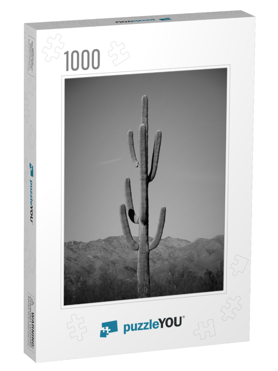 Cactus in Saguaro National Park Near Tucson Arizona Deser... Jigsaw Puzzle with 1000 pieces