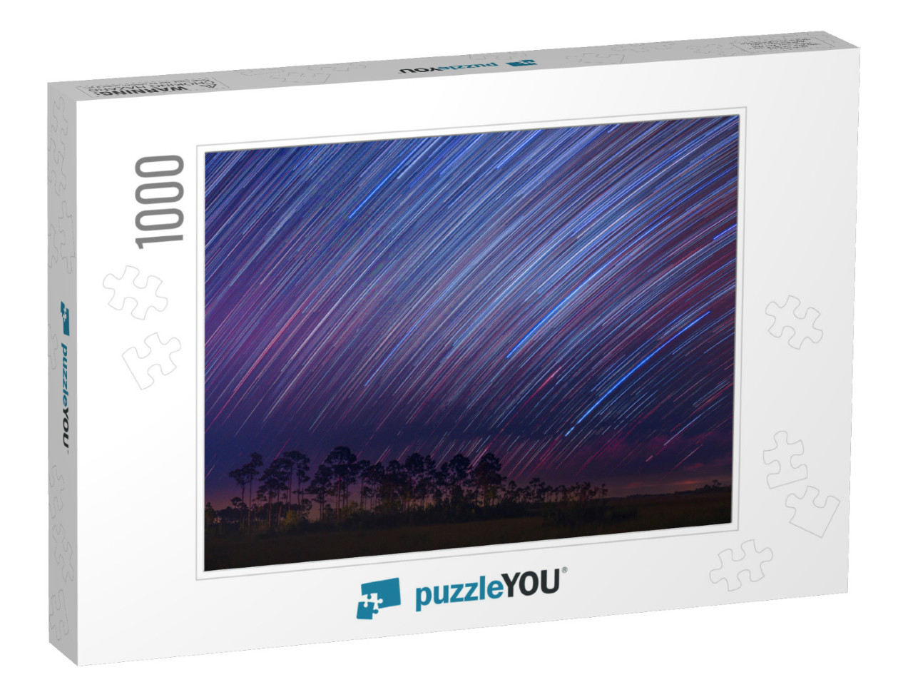 Star Trails Shooting Stars At Everglades National Park by... Jigsaw Puzzle with 1000 pieces