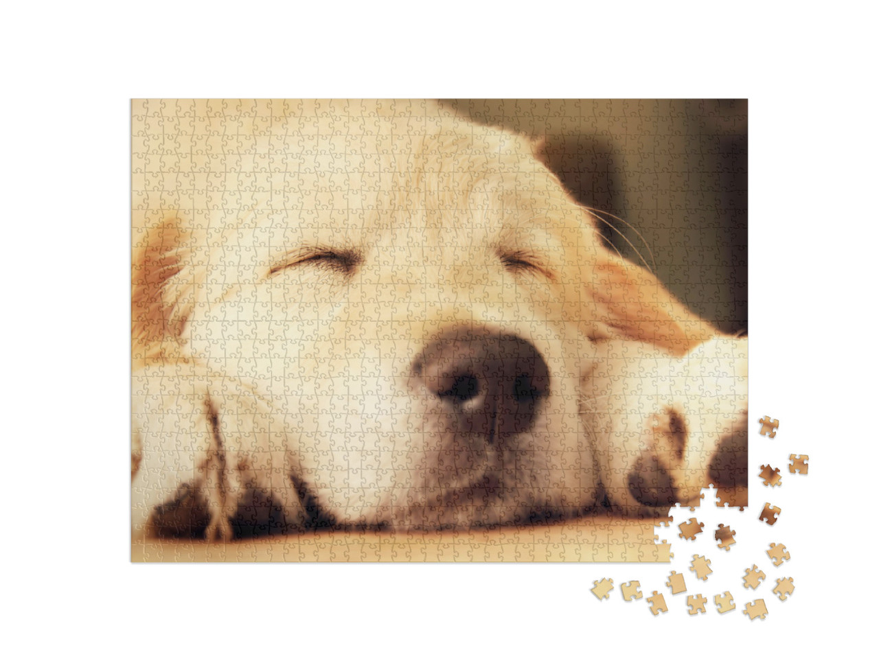 Cute Golden Retriever Puppy Taking a Nap... Jigsaw Puzzle with 1000 pieces