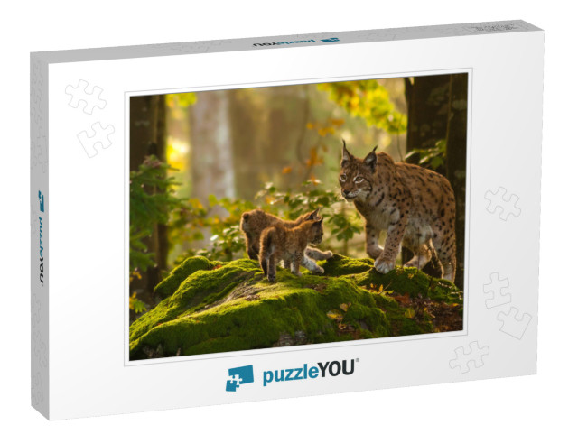 Young Lynxes... Jigsaw Puzzle