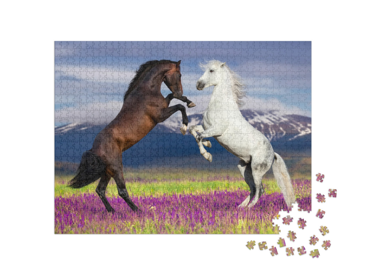 Two Horse Rearing Up Against Mountain View in Flower Fiel... Jigsaw Puzzle with 1000 pieces