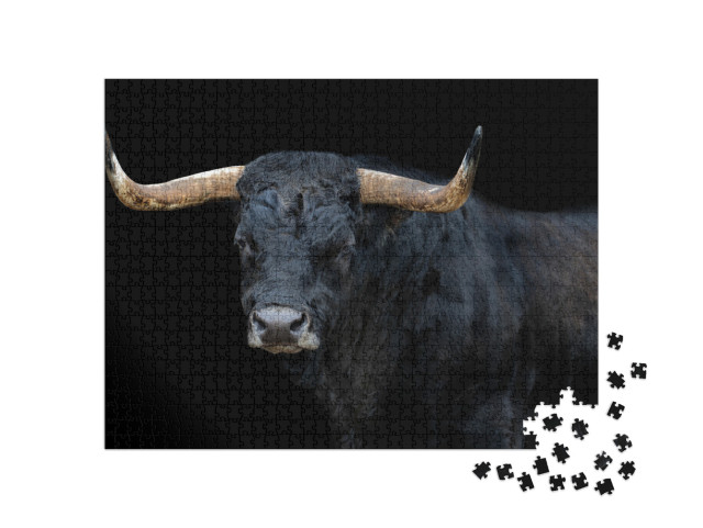 Portrait of a Bull with Black Background... Jigsaw Puzzle with 1000 pieces