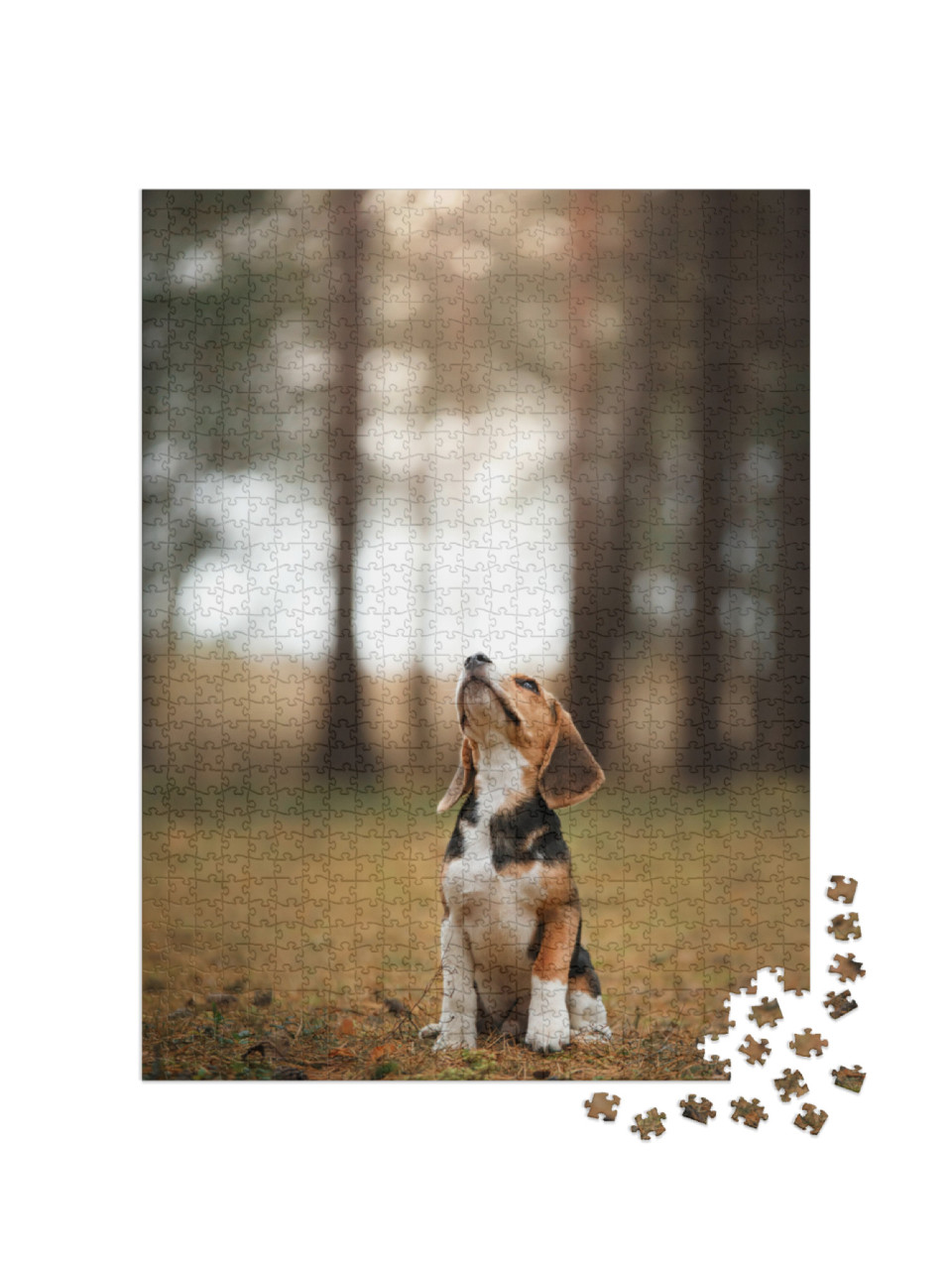 Dog on Nature in the Park. Beagle Puppy. Pet for a Walk... Jigsaw Puzzle with 1000 pieces