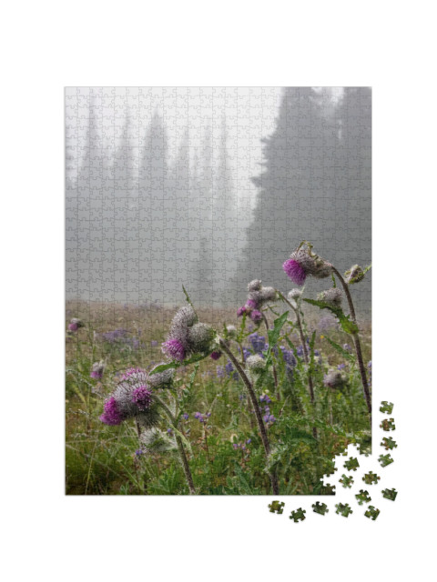 Usa, Washington State, Olympic National Park. Thistle Flo... Jigsaw Puzzle with 1000 pieces