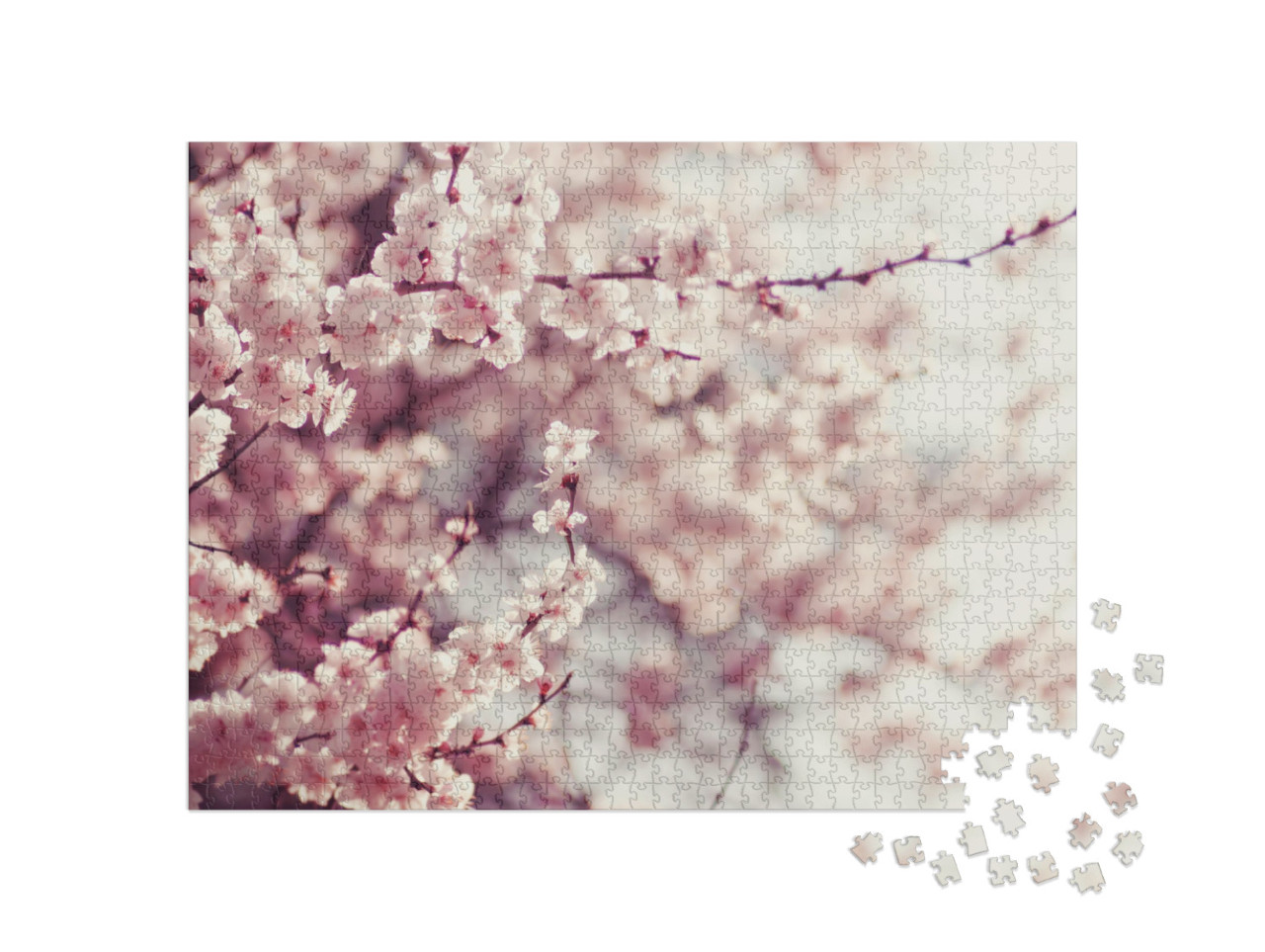 Spring Cherry Blossoms, Pink Flowers... Jigsaw Puzzle with 1000 pieces