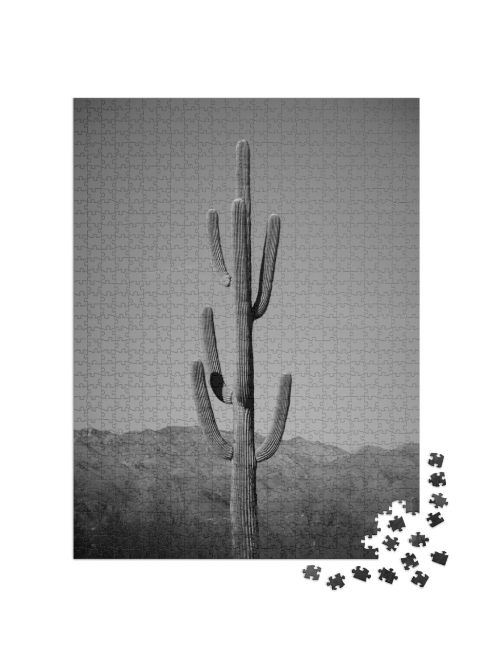 Cactus in Saguaro National Park Near Tucson Arizona Deser... Jigsaw Puzzle with 1000 pieces